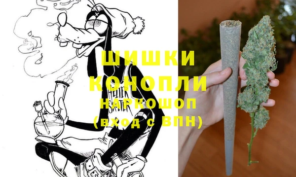 стафф Семилуки