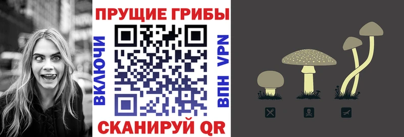 это формула  Весьегонск  Галлюциногенные грибы мицелий 
